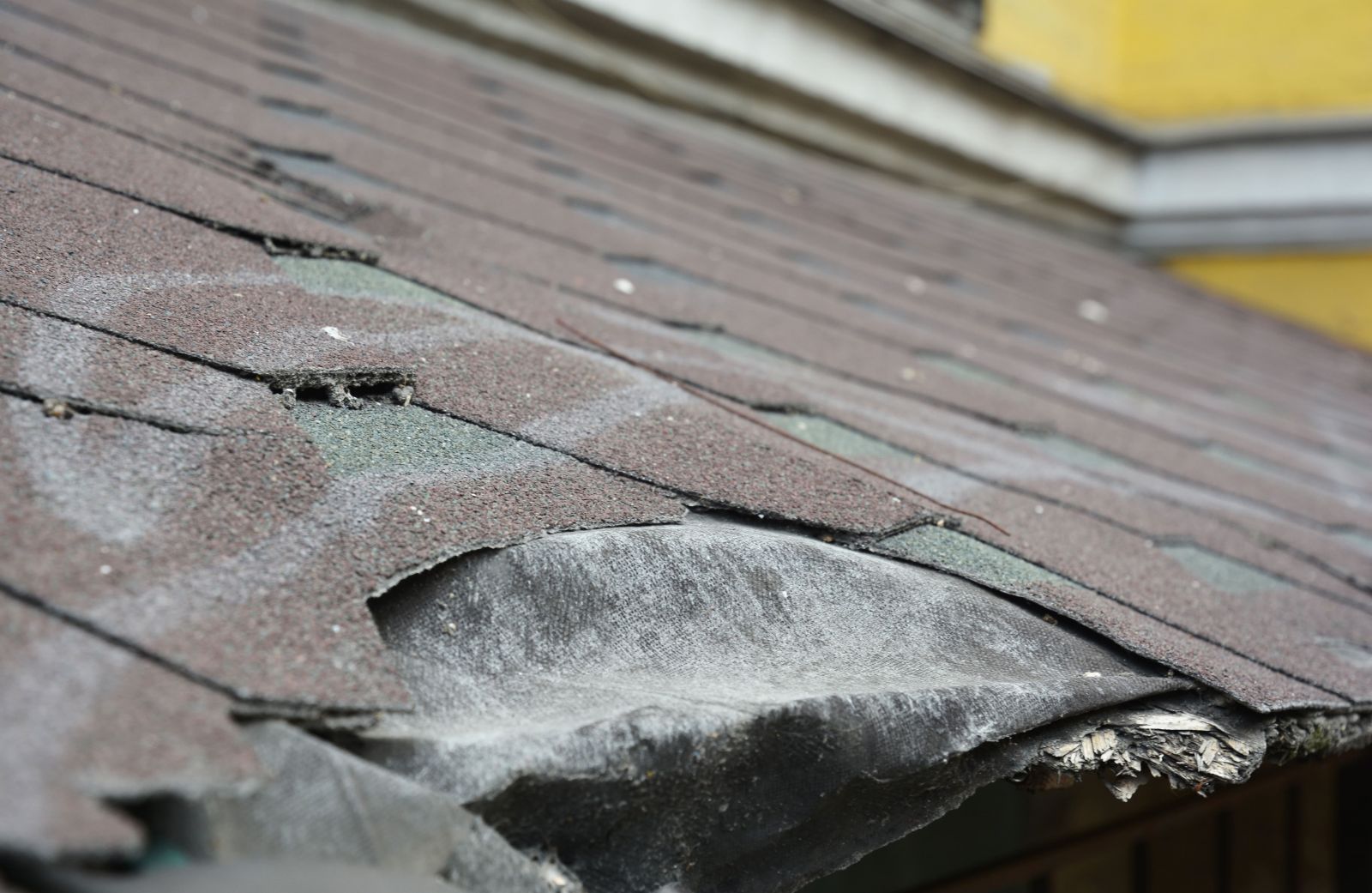 Old Ridge Roofing Images